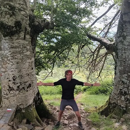 Bed & Breakfast Comfort And Fab Views Albi