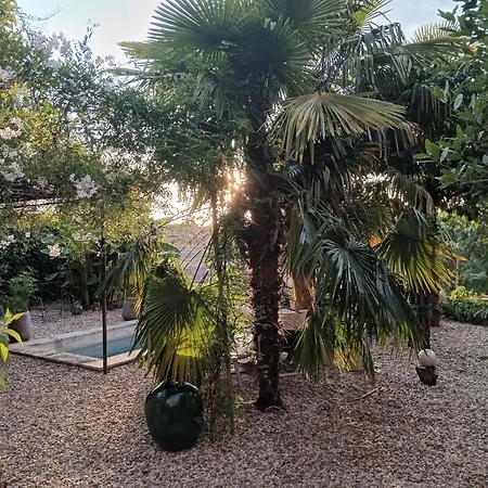 Bed & Breakfast Comfort And Fab Views