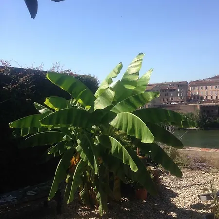 Comfort And Fab Views Bed & Breakfast 4*